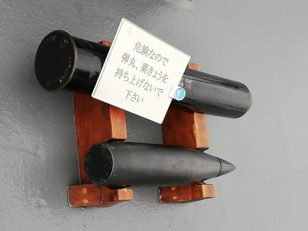 f:id:motanori:20190609211140j:plain f:id:motanori:20190609211140j:plain