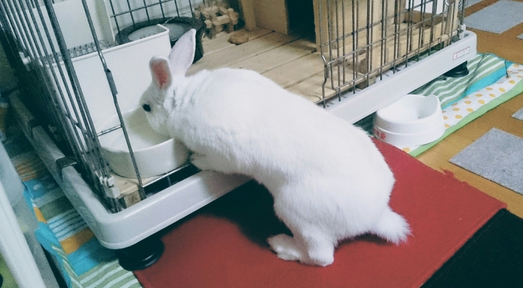 f:id:motchyboska0125:20180708154037j:plain