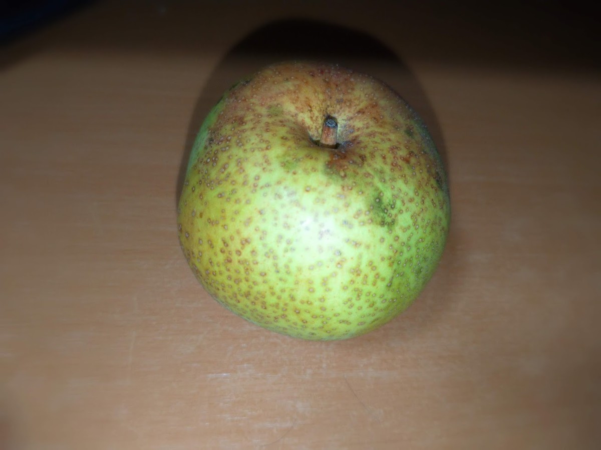 f:id:mote:20191009053615j:plain f:id:mote:20191009053615j:plain