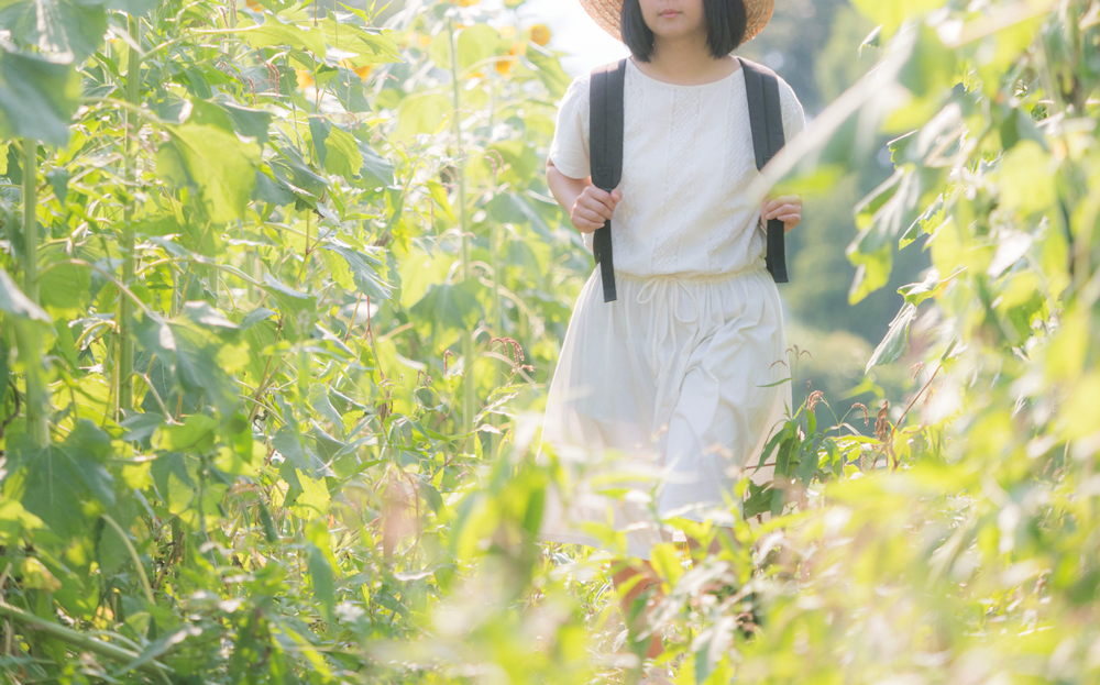f:id:moteblog:20170210234210j:plain