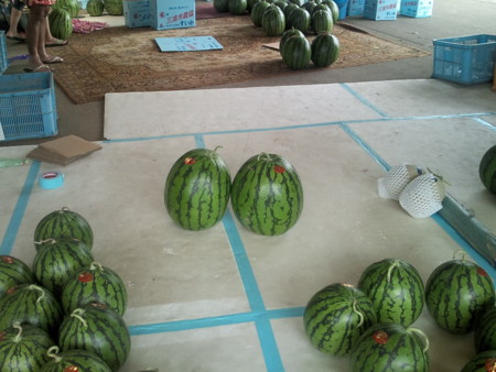 f:id:mother-1:20090719134505j:image