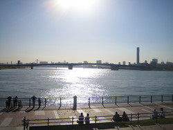 20061009150709