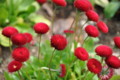 20090404101413