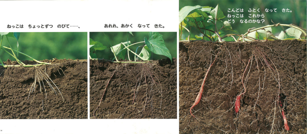 f:id:mothersnote:20160908211238j:plain