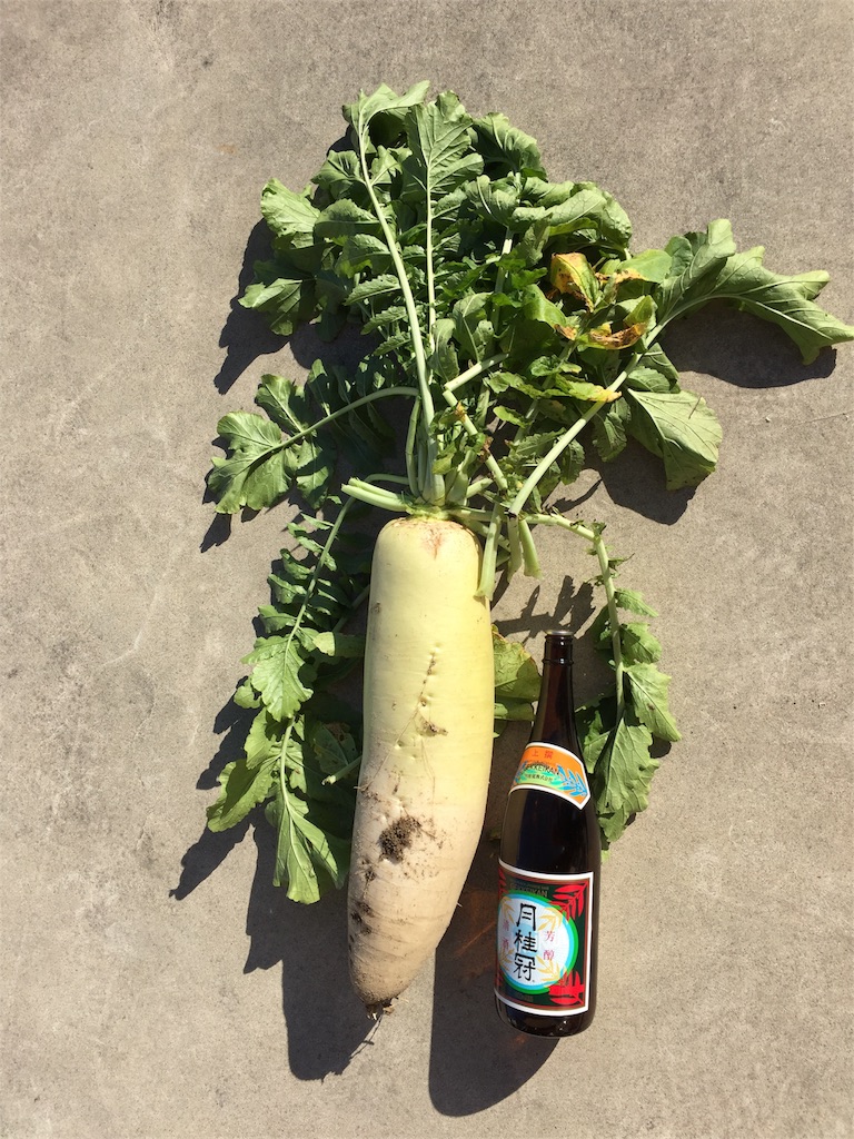 f:id:mothersnote:20161215104741j:plain