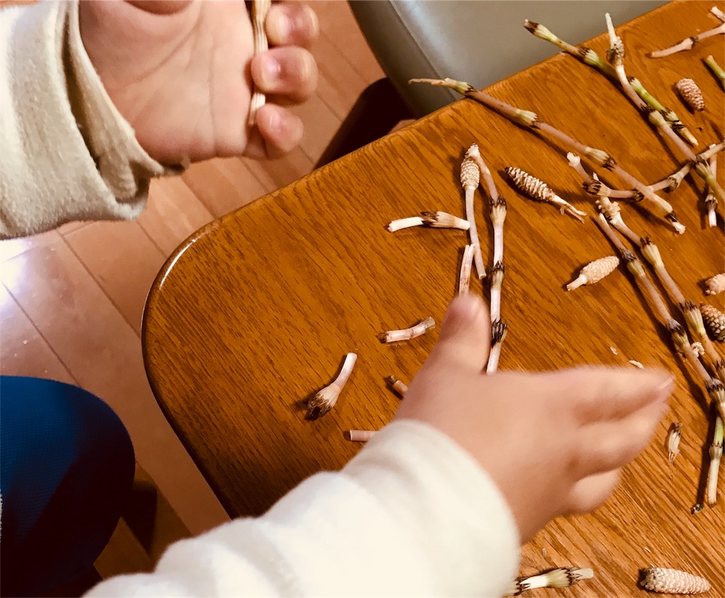 f:id:mothersnote:20180314004259j:image