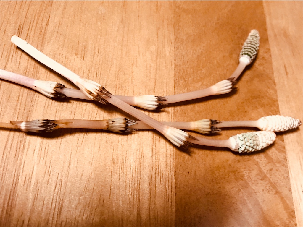 f:id:mothersnote:20180314004452j:image