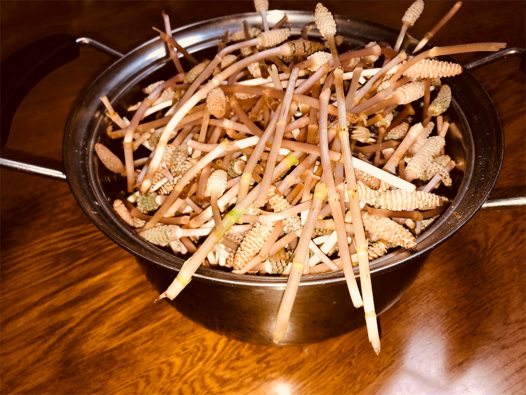 f:id:mothersnote:20180314004529j:image