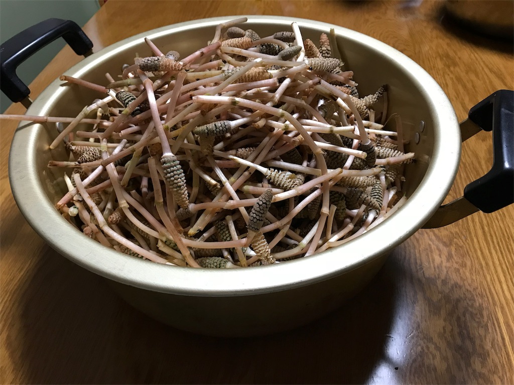 f:id:mothersnote:20180314004545j:plain