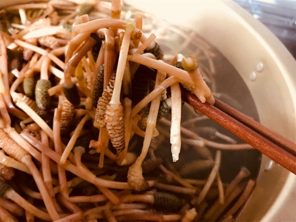 f:id:mothersnote:20180314004639j:plain f:id:mothersnote:20180314004639j:plain