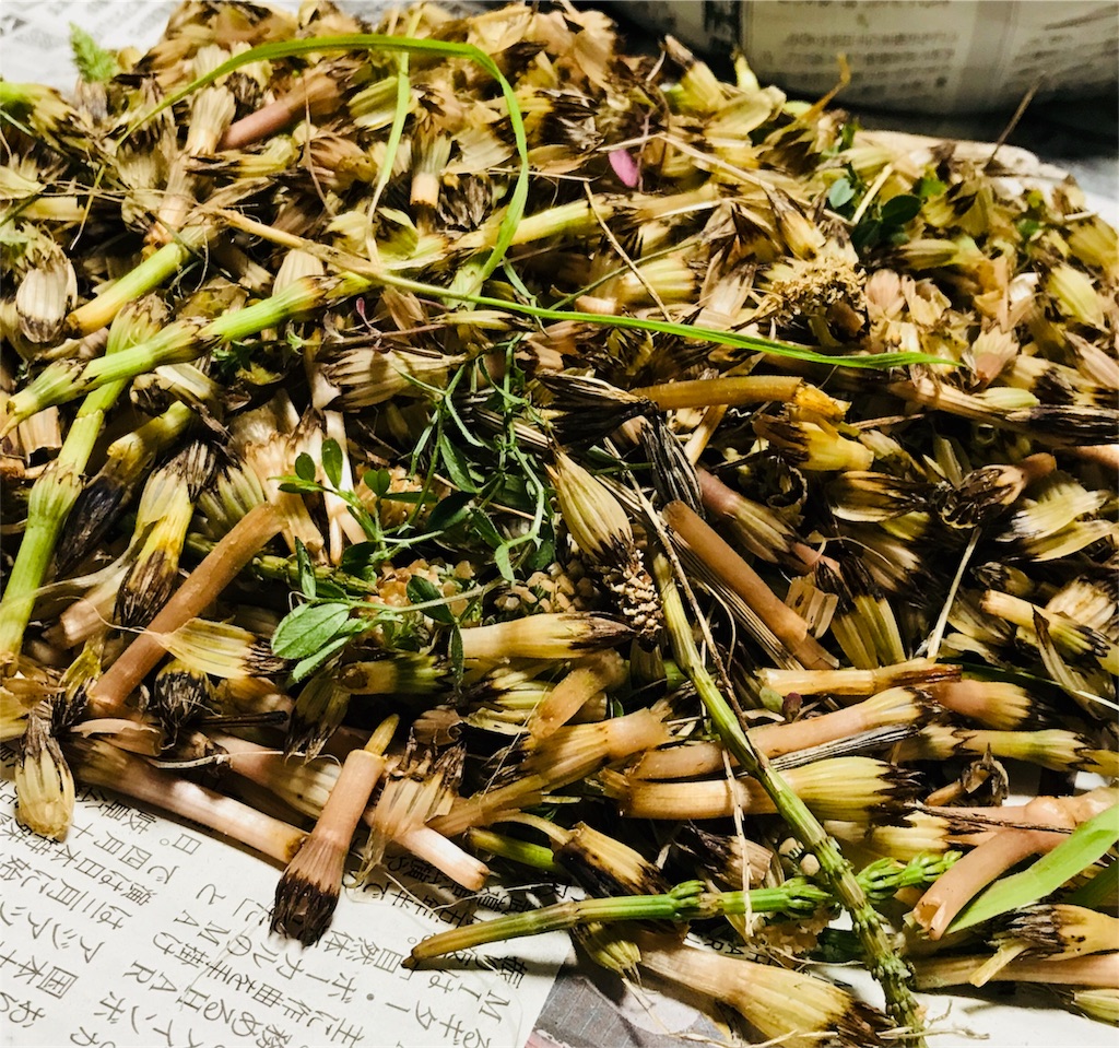 f:id:mothersnote:20180314094401j:image