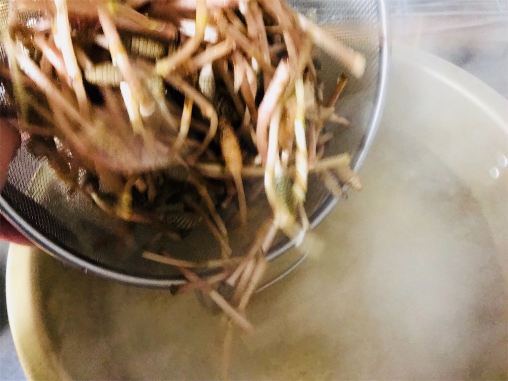 f:id:mothersnote:20180314095033j:plain f:id:mothersnote:20180314095033j:plain