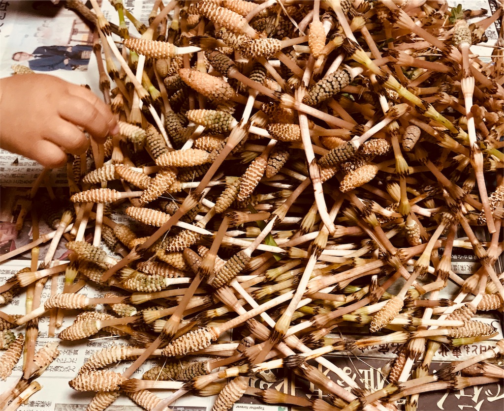 f:id:mothersnote:20180314140111j:image