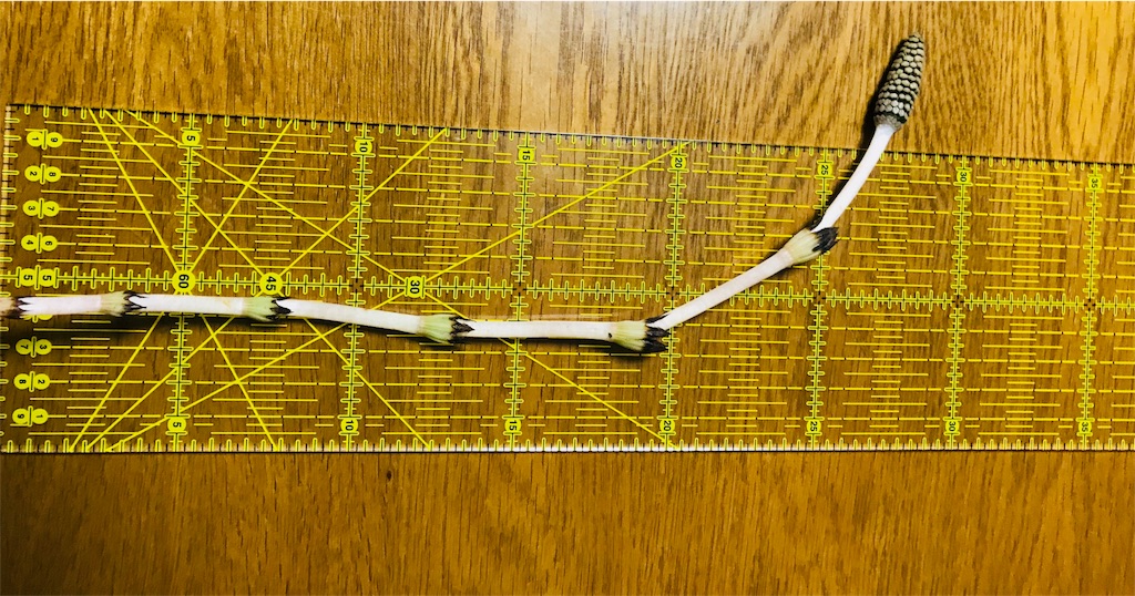 f:id:mothersnote:20180314140135j:image