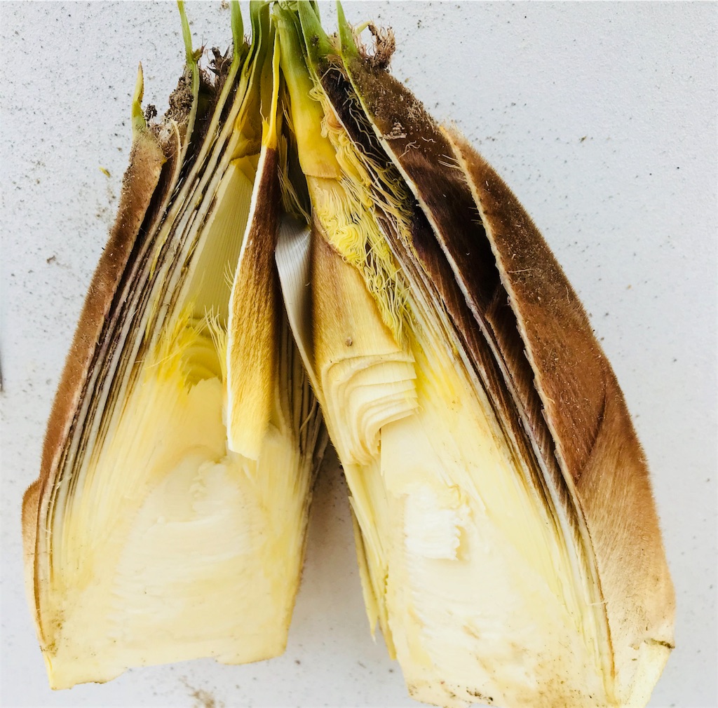 f:id:mothersnote:20180410091702j:plain f:id:mothersnote:20180410091702j:plain