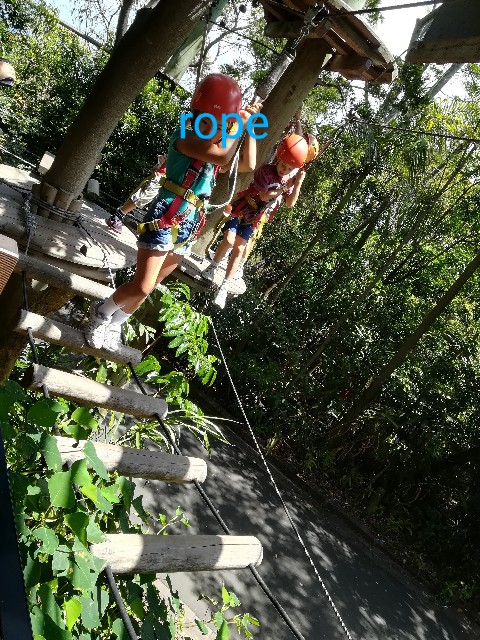 Wild Ropes Toronga 森遊びシリーズ~Taronga Zoo Wild Ropes Tree adventure フォレストアドベンチャー & 誕生日会 - 最高の ...