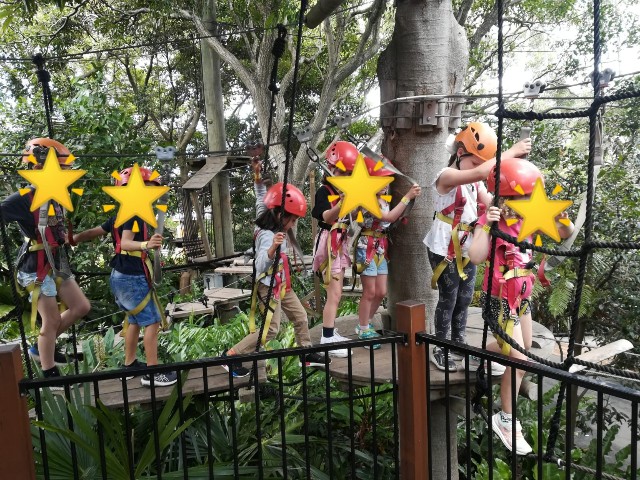 Wild Ropes Toronga 森遊びシリーズ~Taronga Zoo Wild Ropes Tree adventure フォレストアドベンチャー & 誕生日会 - 最高の ...
