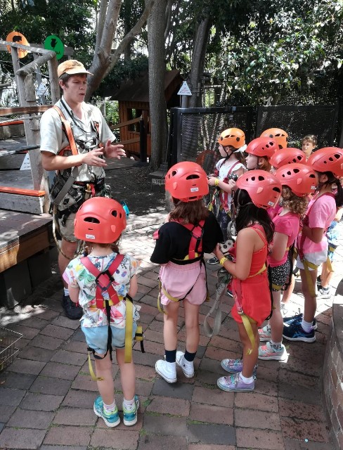 Wild Ropes Toronga 森遊びシリーズ~Taronga Zoo Wild Ropes Tree adventure フォレストアドベンチャー & 誕生日会 - 最高の ...
