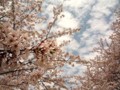 20100411153227
