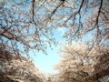 20100411153938