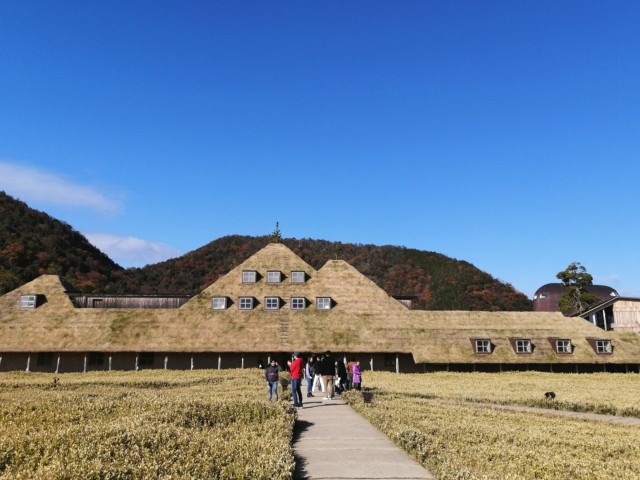 ラ コリーナ クラブハリエ 滋賀県近江八幡へ センスが半端なくステキ もちもーのブログ
