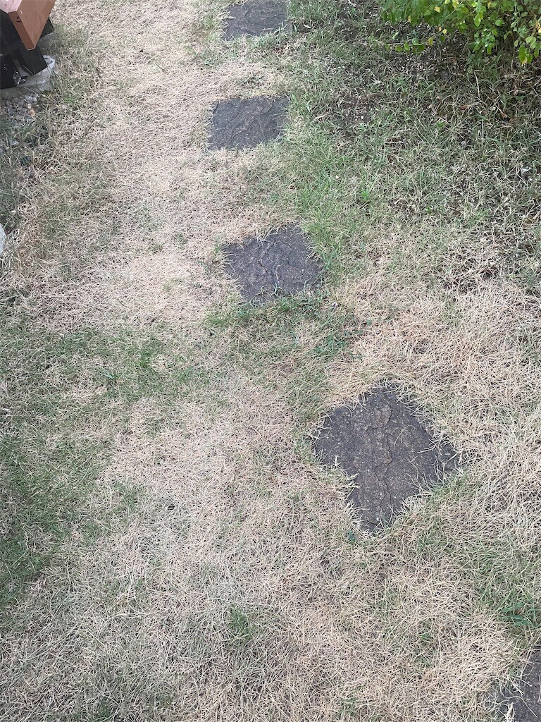 f:id:motivator:20250803153527j:image