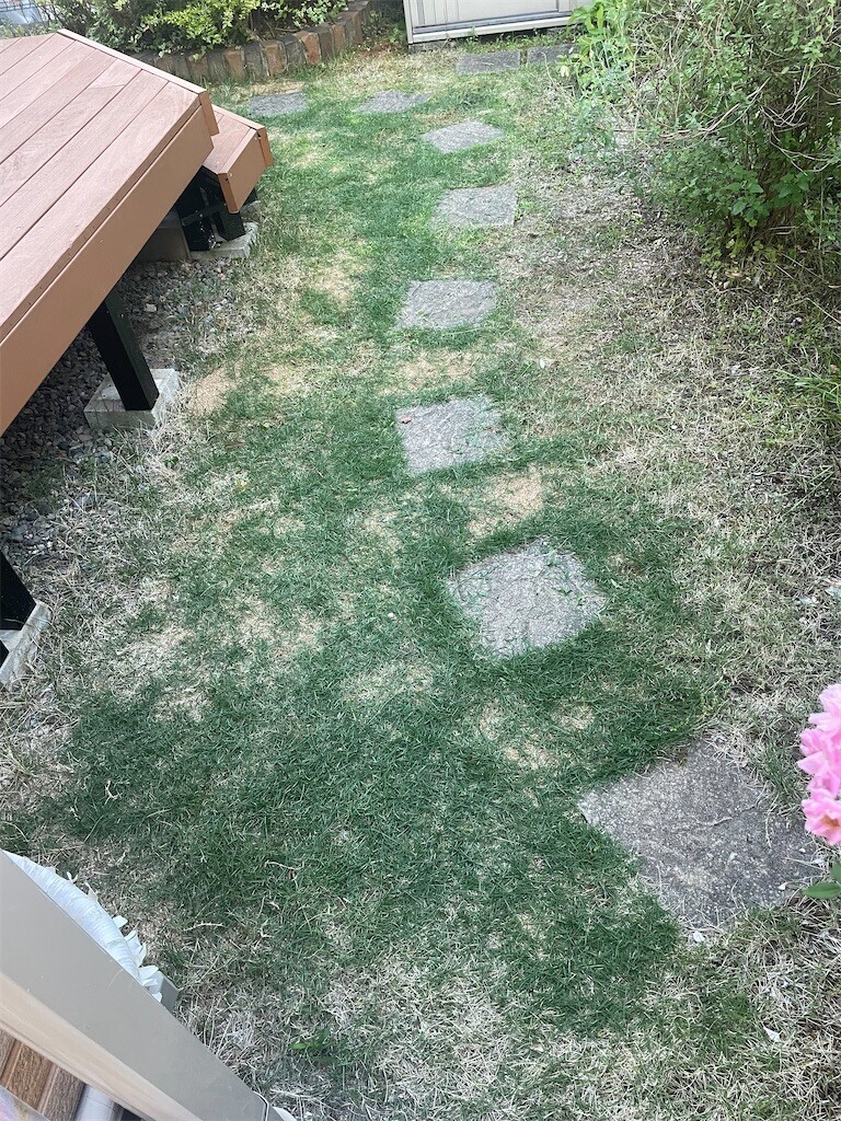 f:id:motivator:20250803153615j:image