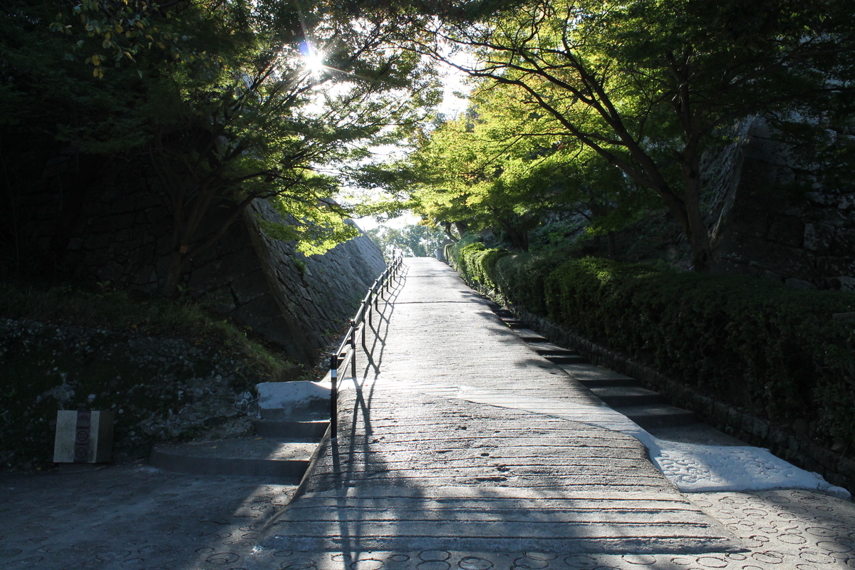 f:id:moto-08030220:20190608202526j:plain f:id:moto-08030220:20190608202526j:plain