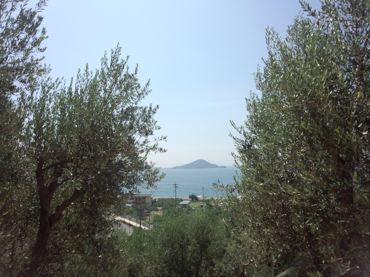 f:id:moto-08030220:20190610063545j:plain f:id:moto-08030220:20190610063545j:plain
