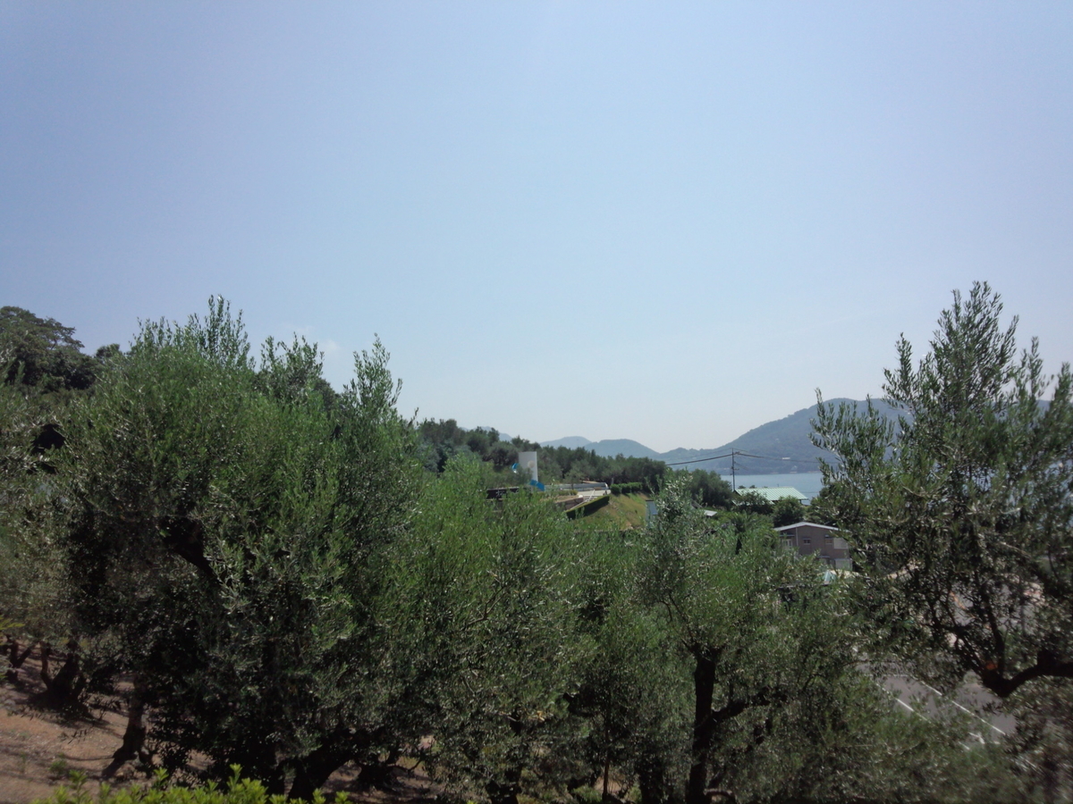f:id:moto-08030220:20190610063622j:plain f:id:moto-08030220:20190610063622j:plain