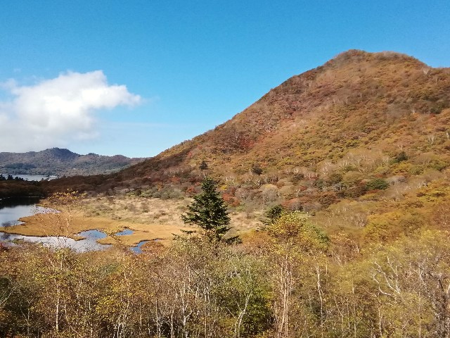 f:id:moto-08030220:20201018193705j:image