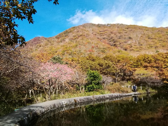 f:id:moto-08030220:20201018193831j:image