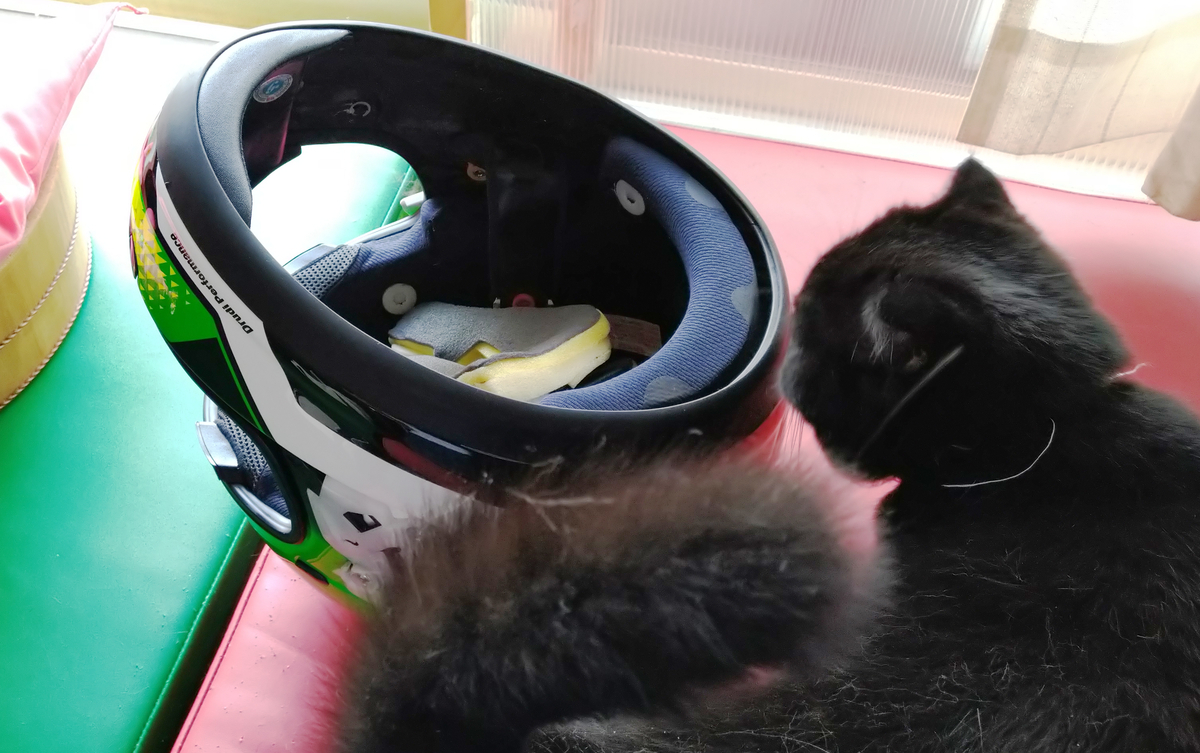 ヘルメットのインナーって汚パンツと同格 Moto Roo Track Days