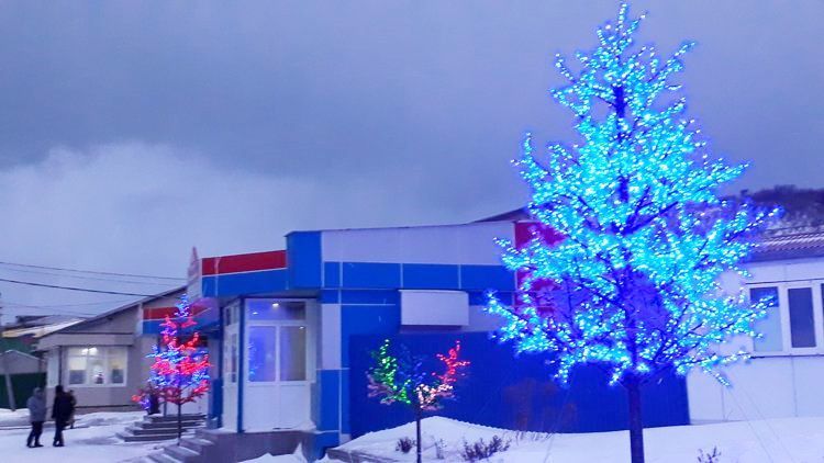 f:id:moto-tomin2sei:20181227085820j:plain