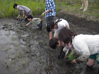 f:id:moto_andom:20070513110510j:image