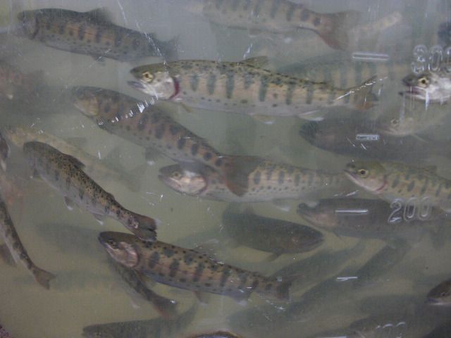 20121014134224