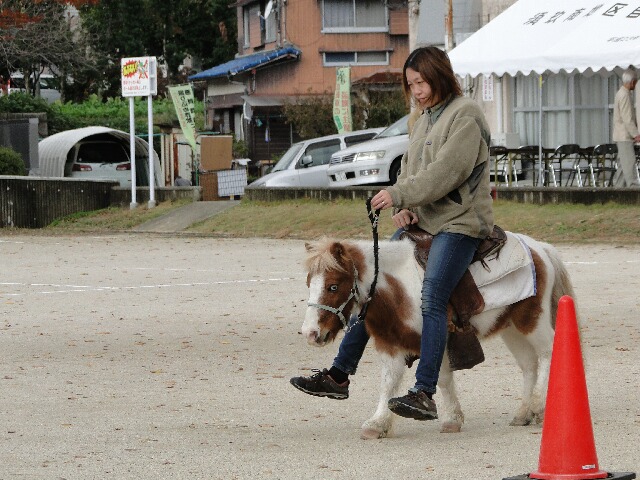 f:id:moto_shop_TG:20121111204110j:image