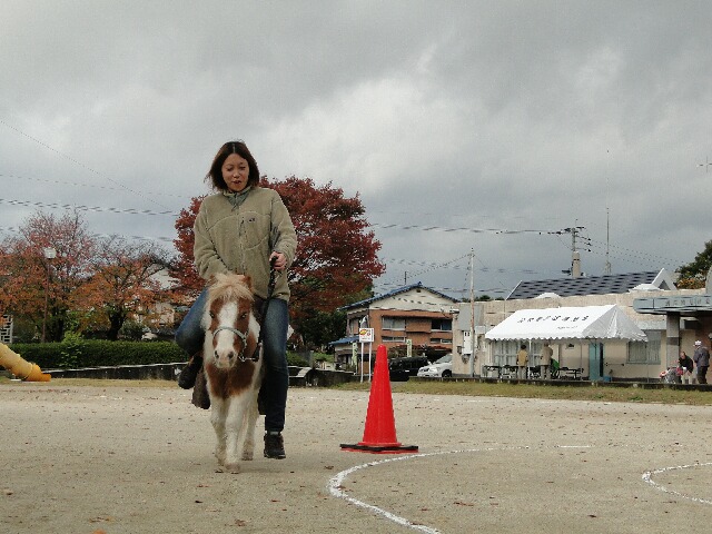 f:id:moto_shop_TG:20121111204112j:image