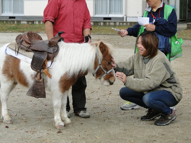 f:id:moto_shop_TG:20121111204113j:image