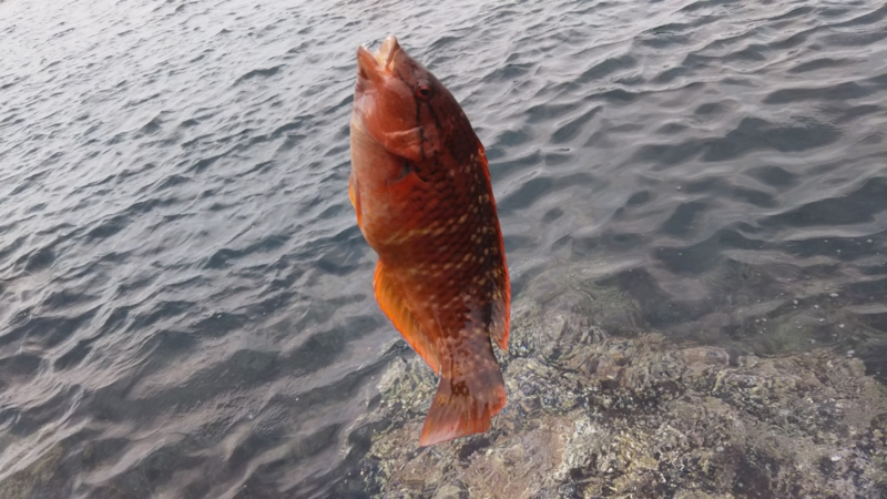 20170329114811
