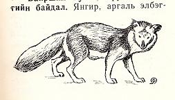 古本で 絶滅危惧種のアカオオカミの知識を仕入れる Motobei S Diary 古本で 絶滅危惧種のアカオオカミの知識を仕入れる Motobei S Diary