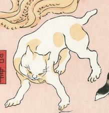 かぶねこ」と「ごんぼう」の短尾猫 - motobei's diary