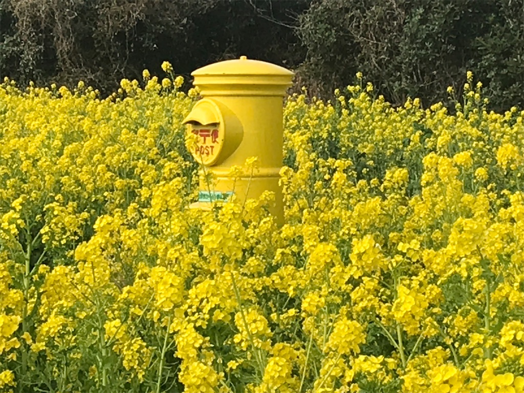 f:id:motocam2155:20210214184453j:image