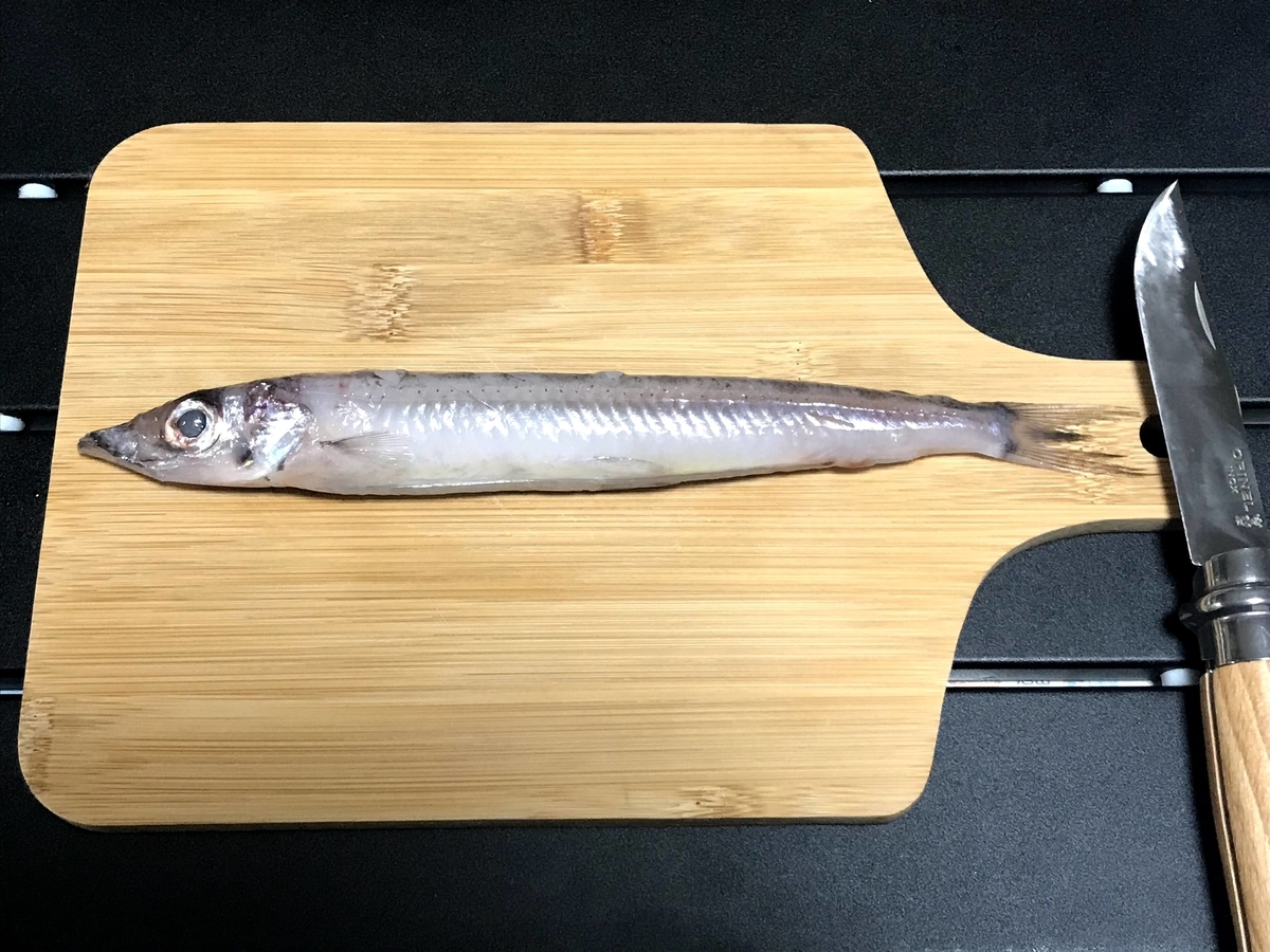 f:id:motocam2155:20210403232005j:plain