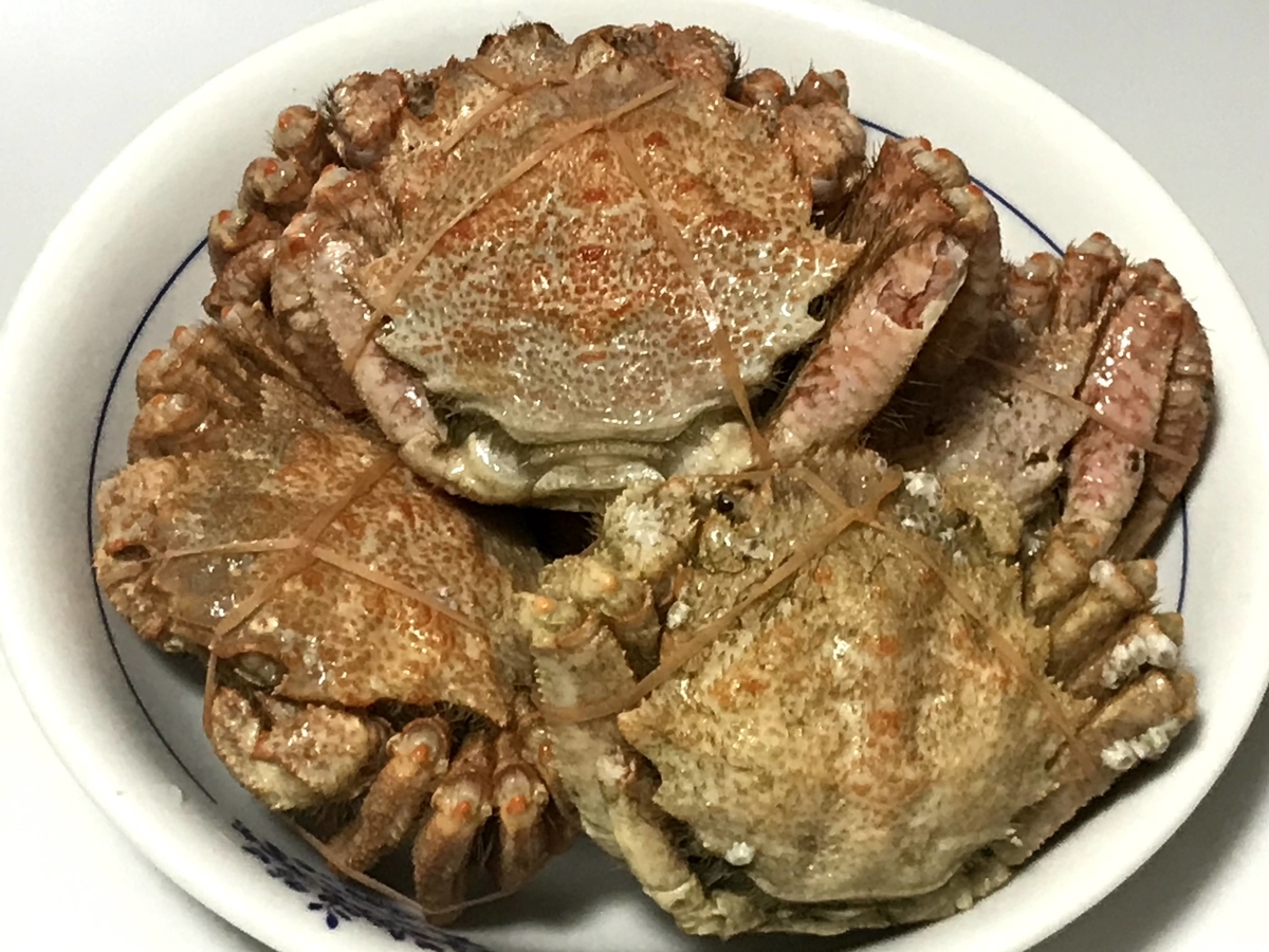 f:id:motocam2155:20210418211530j:plain