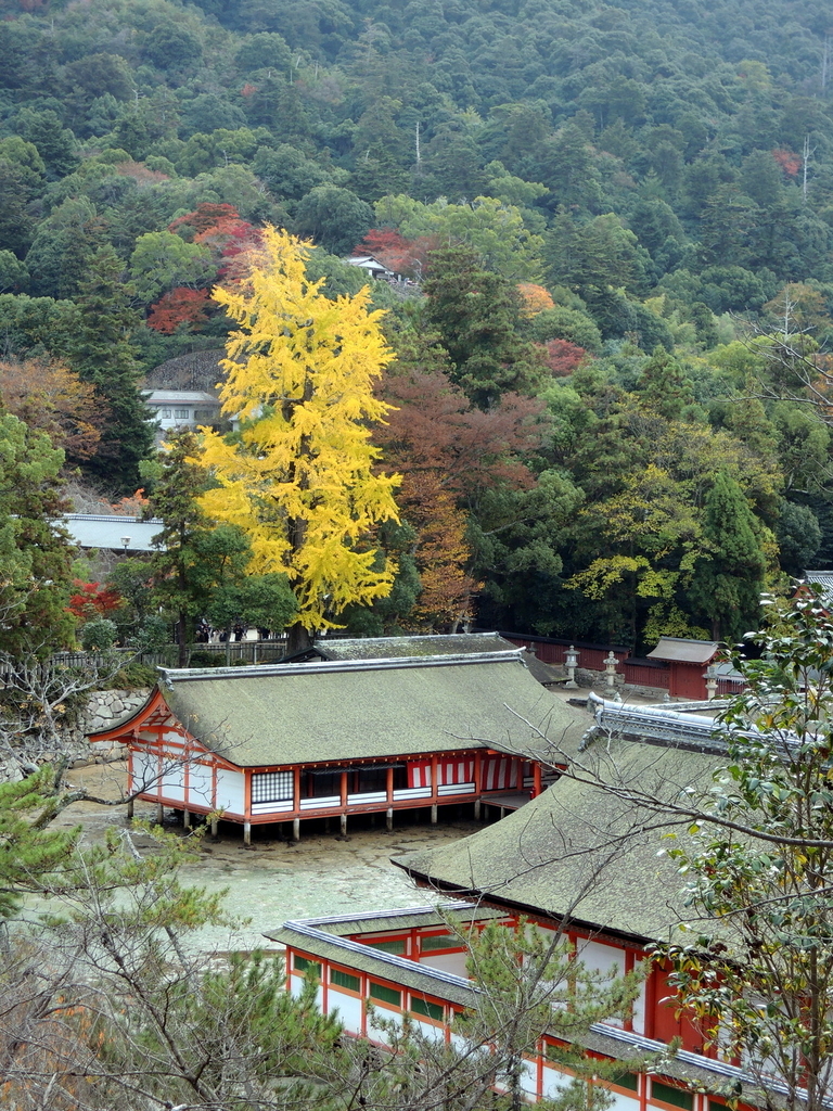 f:id:motoguzziV7Rider:20181123115939j:plain