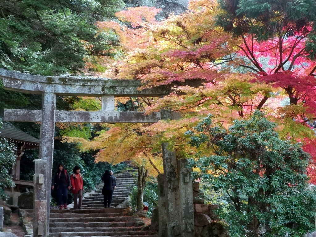 f:id:motoguzziV7Rider:20181123130125j:plain