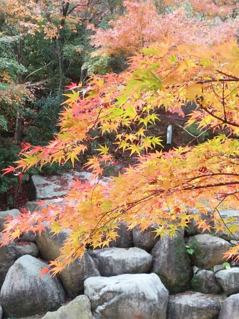 f:id:motoguzziV7Rider:20181123130428j:plain