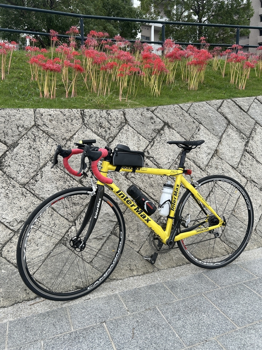 元宇品公園 ロードバイクのある風景 インターマックス 広島ポタリング