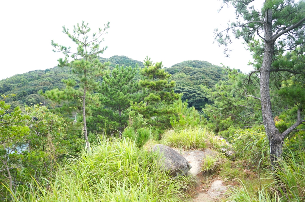 f:id:motohashiheisuke:20160920215528j:plain f:id:motohashiheisuke:20160920215528j:plain